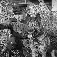 «Маленькие герои большой войны». Музейное занятие к 23 февраля
