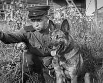 «Маленькие герои большой войны». Музейное занятие к 23 февраля